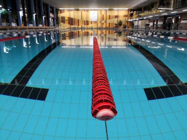 2019 Frühjahrsmeeting